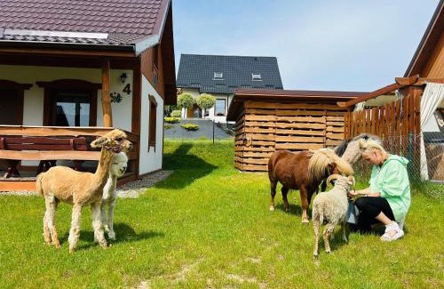 gmina Stezyca Cabin | Domek Eden 1 Kaszuby balia sauna alpaki mini zoo