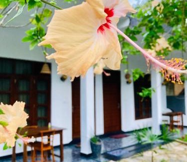 Weligama Hotel | Domicio Surf Resort