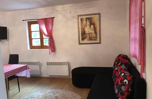 Mokra Gora Apartment | Domik