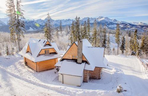 Bukowina Tatrzanska Ski Chalet | Domki na Głodówce