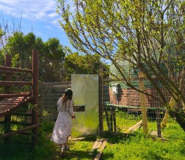 Quilpue House | Domo Cabana