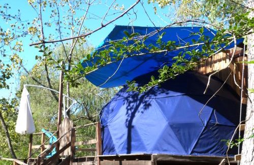 Partido de Tigre House | Domo de la Selva Tigre