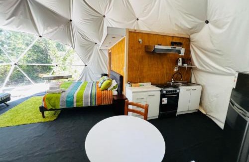 Hornopiren National Park Apartment | Domo Panigal