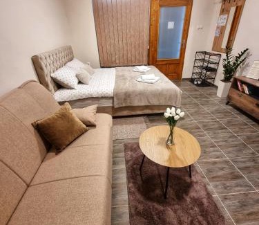 Vojvodina Apartment | Dorče Apartmani