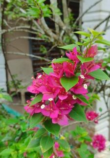 Kampung Guar Resort | Dorm2