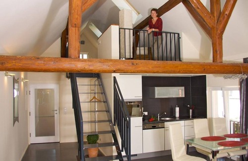 Billigheim-Ingenheim Apartment | Dornfeldersuite - Winzerhof am Steingebiss