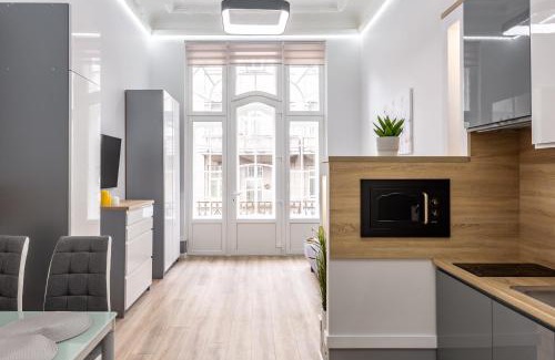 Lviv City Center Apartment | Doroshenko street for 4 guests