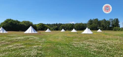 Corfe Mullen Other | Dorset Glamping Fields