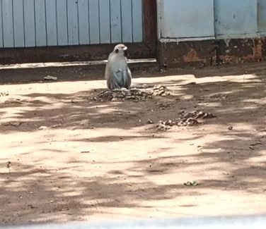Malindi Hotel | Double Heart Resort