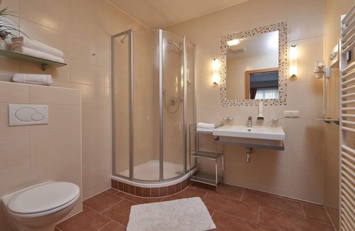 Rauris Bed & Breakfast | Double Room "Birke" - Breakfast Hotel Birkenhof