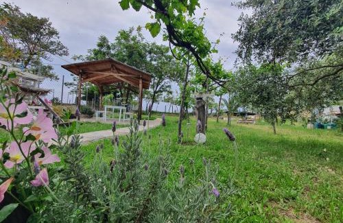 Limenaria Apartment | Doukas by the Sea-Little Paradise-Beachfront