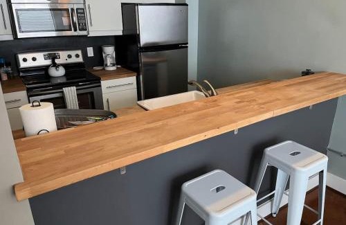 Roanoke Apartment | Downtown 1st Floor Apt Walk to Breweries Food
