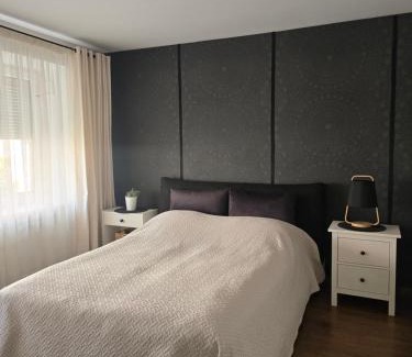 Siauliai City Center Apartment | Downtown Boulevard View Residence