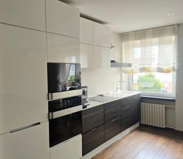 Siauliai City Center Apartment | Downtown Boulevard View Residence