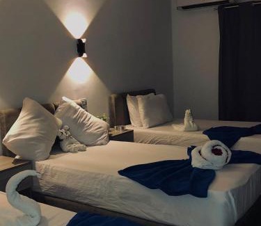Downtown Cairo Hotel | Downtown Cairo Park Plaza Hotel