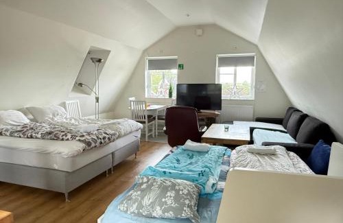 Sodertalje Municipality Apartment | DR ÅSA Apartment Penthouse w Pool by the Forest near a Golf course, Concerts and the Baltic Sea