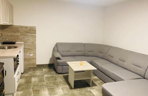 Central Serbia House | Dr Genius Holiday Home