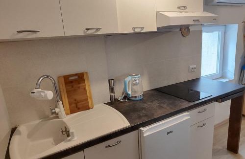 Draga Bascanska Apartment | Draga studio apartment pets welcome