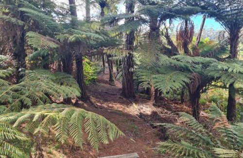 Kerikeri House | Dragonfly Barn - Kerikeri