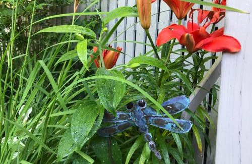 Ogunquit House | Dragonfly Guest House