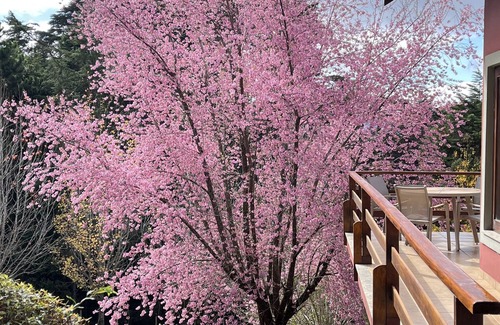 Campos do Jordao Cottage | Dream country house in Campos do Jordão