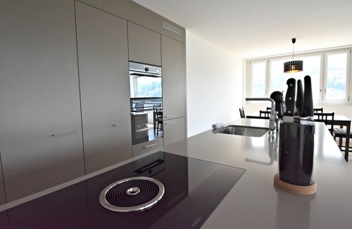 Kriens Apartment | Dream View Apt With Homecinema Netflix Loggia