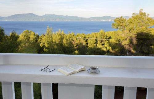Theologos House | Dream View Villa