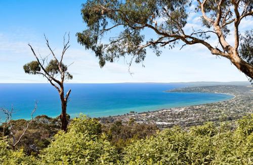 Arthurs Seat Bed & Breakfast | Dream Views at Arthurs Seat B & B