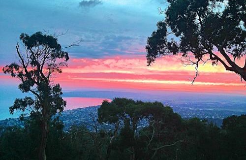 Arthurs Seat Bed & Breakfast | Dream Views at Arthurs Seat B & B
