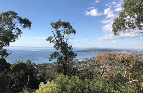 Arthurs Seat Bed & Breakfast | Dream Views at Arthurs Seat B & B