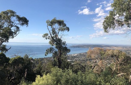 Arthurs Seat Bed & Breakfast | Dream Views at Arthurs Seat B & B