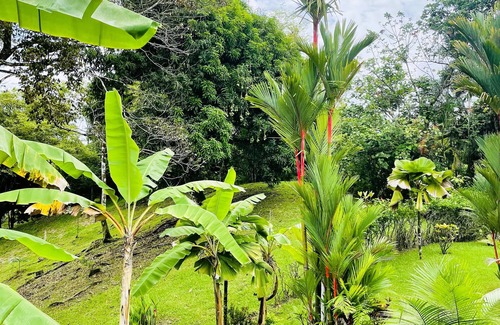 Manuel Antonio Apartment | Dreams of love a place full of wonders and peace.