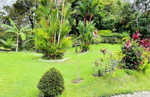Manuel Antonio Apartment | Dreams of love a place full of wonders and peace.