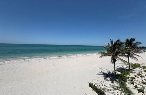 Palm Island House | "Dreamy Beachfront Getaway - Your Coastal Sanctuary Awaits!"