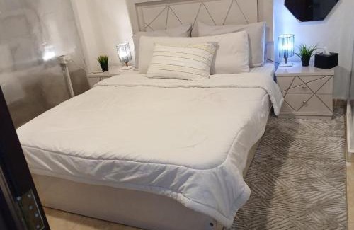Sheikh Zayed City Ski Chalet | Dublex Studio with a backyard in Sheikh Zayed