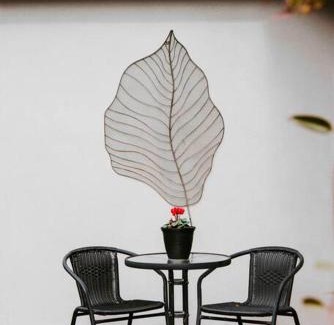 Central Mudgee House | Dumplings Den