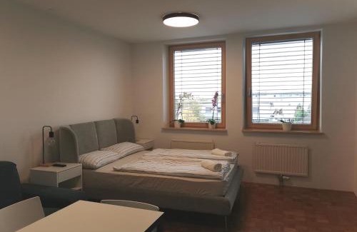 Bezigrad District Apartment | Dunajska Apartment