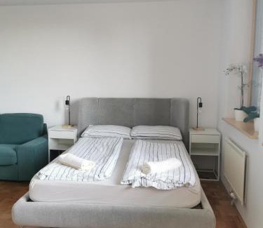 Bezigrad District Apartment | Dunajska Apartment