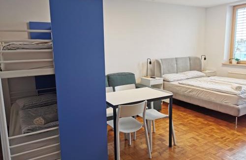 Bezigrad District Apartment | Dunajska Apartment