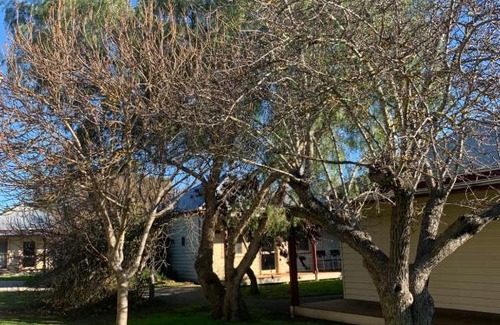 Dunkeld Hotel | Dunkeld Village Accommodation - formally Dunkeld Studio Accommodation
