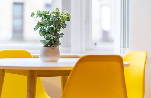 Paisley Condo | Dunn Street Apartment - as cute as a button