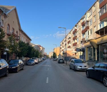 Siauliai City Center Apartment | DvaroStudio jaukus butas centre self-check-in