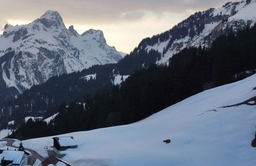 Schroecken Apartment | E3/22 B Premium - Apartment in the AlpinResortArlberg1495 - AlpinResortArlberg1495 - B1