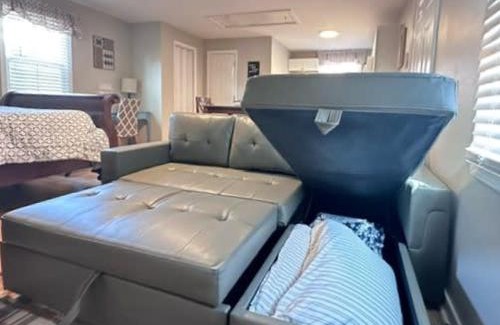 Museum District House | E3 Centrally located in Carytown fully fenced