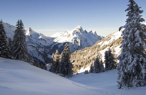 Schroecken Apartment | E4/30 B Premium - Appartement im Alpinresortarlberg1495 - Alpinresortarlberg1495 - B2