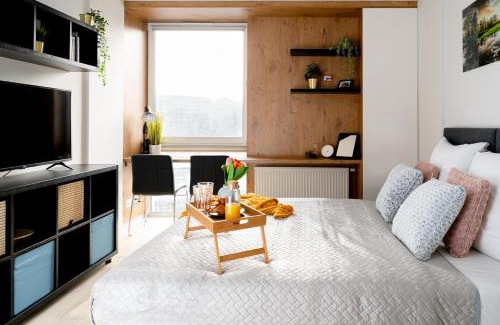 Srodmiescie Apartment | EASY RENT Apartments - SMART 316