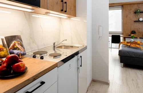Srodmiescie Apartment | EASY RENT Apartments - Smart, 24h Check-in