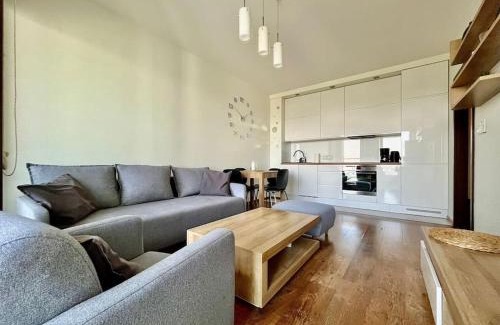Lublin Apartment | EASY RENT- Metropolitan 2 Free Parking, Hala Globus, 24h Check-in, Zana