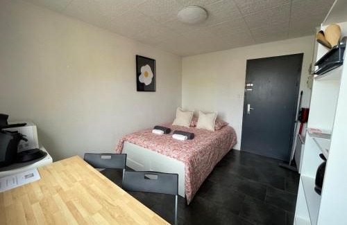 Colmar Centre Ville Apartment | EasyColmar