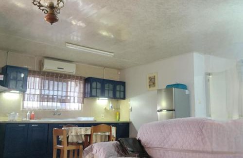 Suriname House | Easygoing
